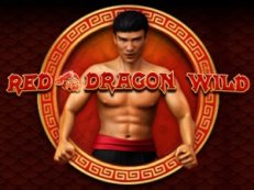 bruce lee dragon wild gokkast