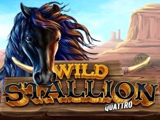 Wild Stallion gokkast